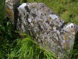 image of grave number 796846